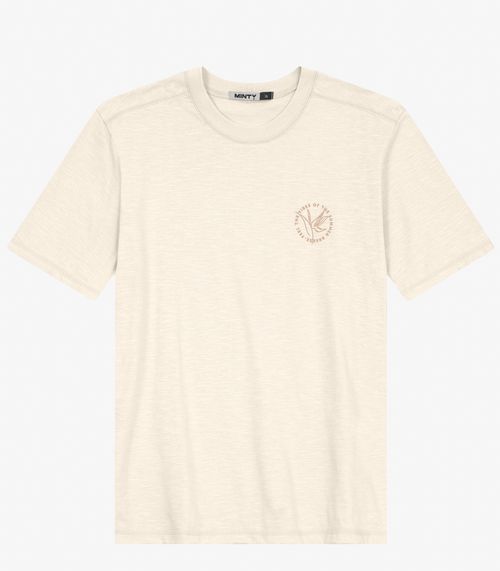 Camiseta Juvenil Masculina em Meia Malha Minty Bege