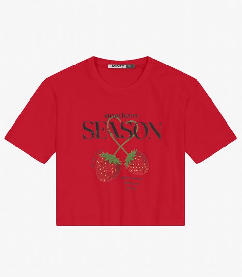 Camiseta Juvenil Manga Curta em Meia Malha Minty Vermelho